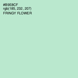 #B9E8CF - Fringy Flower Color Image